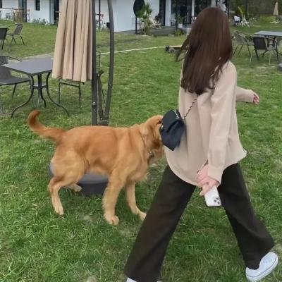黑道风云 海报