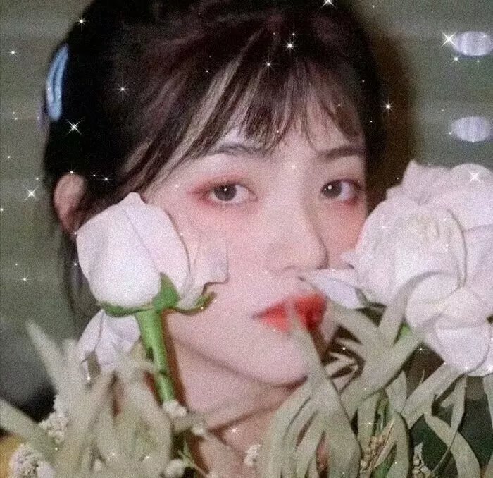植物的欲望 海报